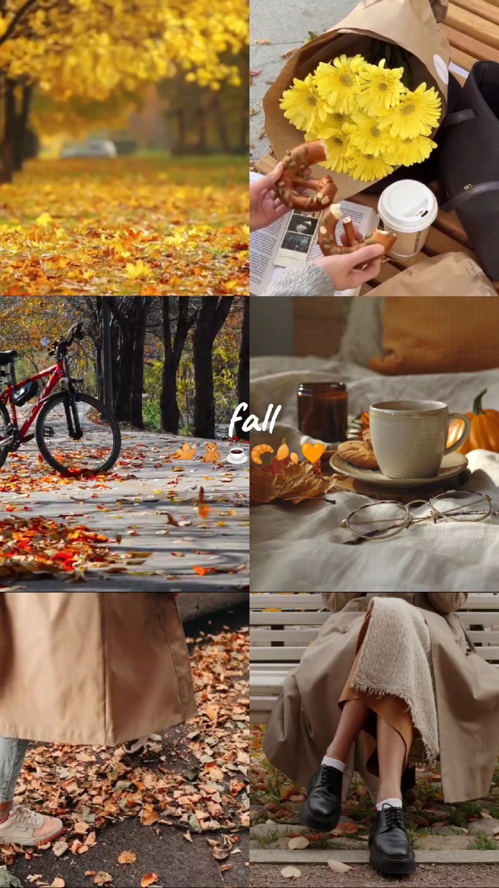 reason fall