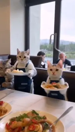 mentahan kucing