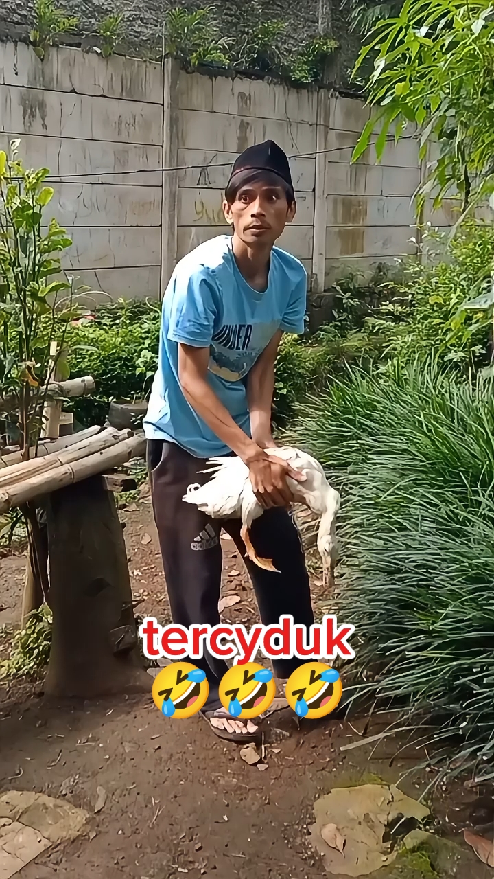 tercyduk