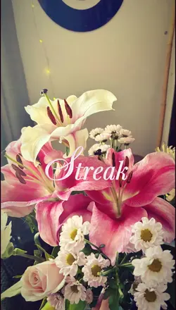 streak