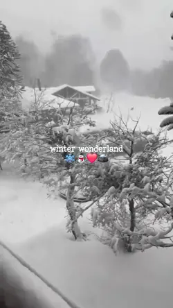 winter wonderland