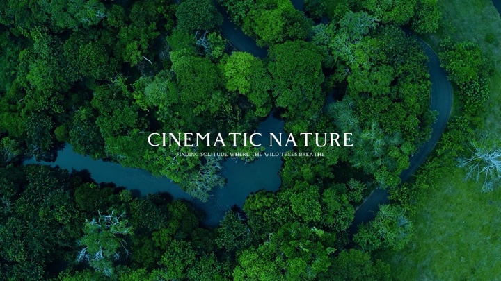 Cinematic Nature