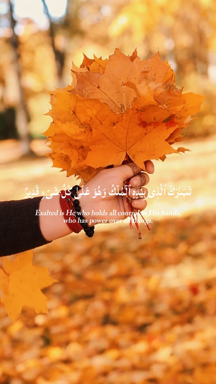 ayat quran 