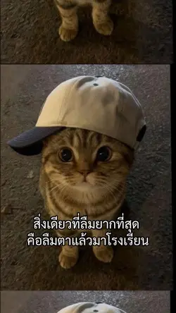 อยากปิดเทอม