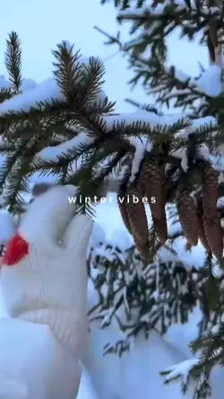 winter vibes
