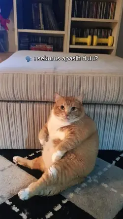 Sekurus apasih dulu?