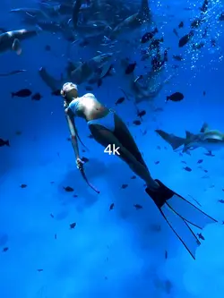 144p vs 4k | DIVING
