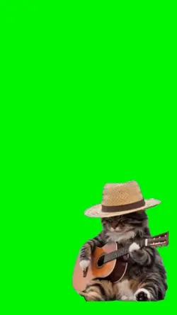 Cat with guitar 