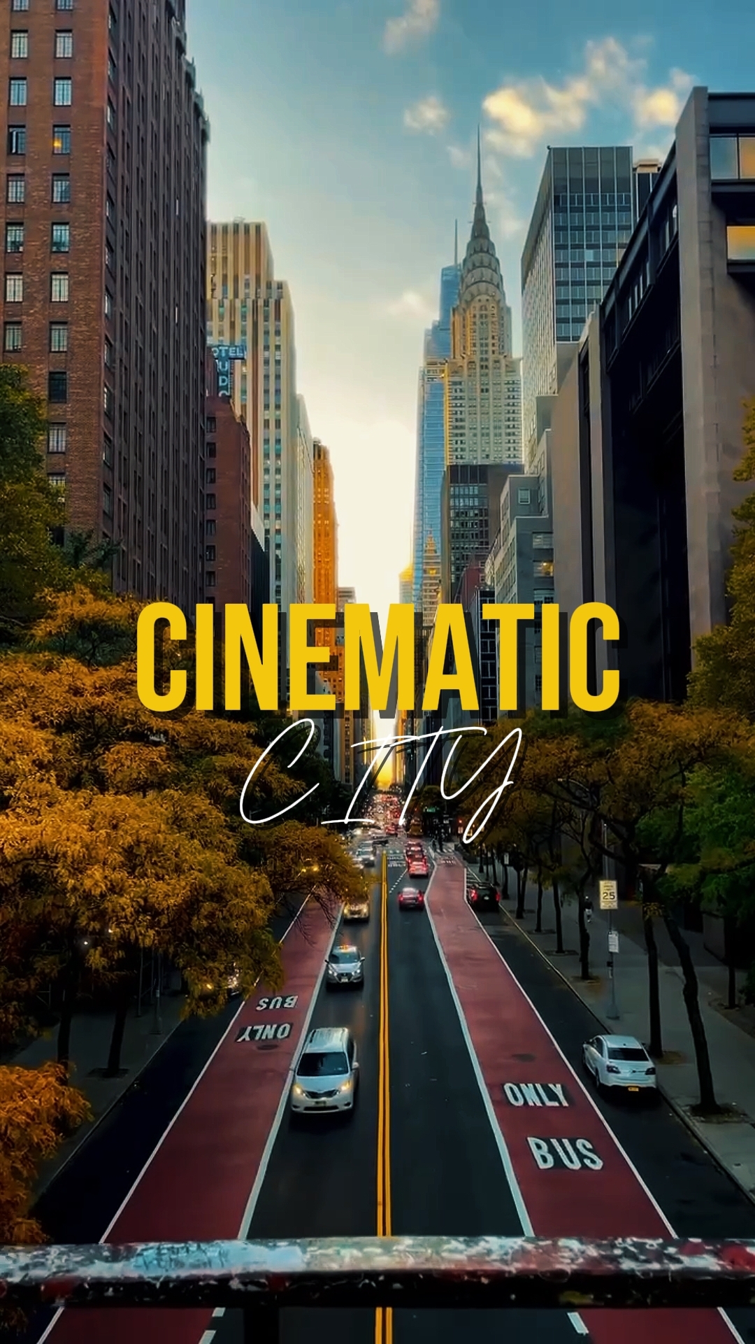 cinematic city
