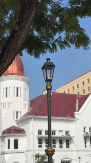7 CLIPS VIDEO 