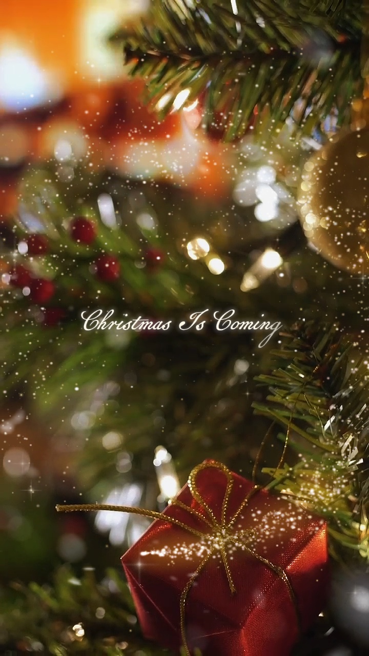christmas is coming