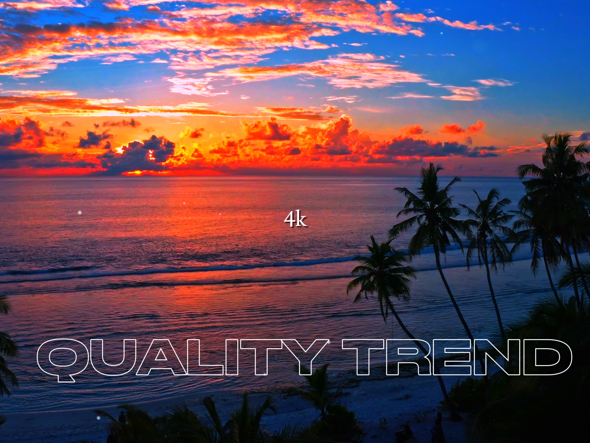 44P VS 4k | | Tendencia