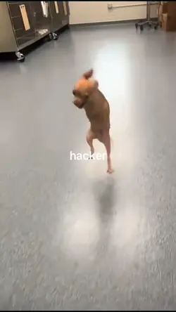 hacker????