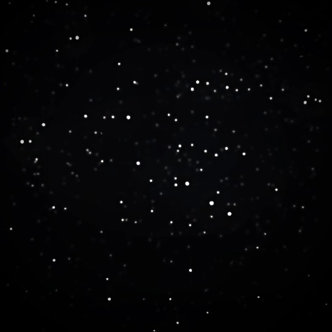 Trending Top Edit