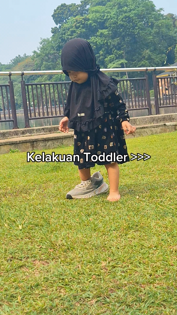 Kelakuan Toddler