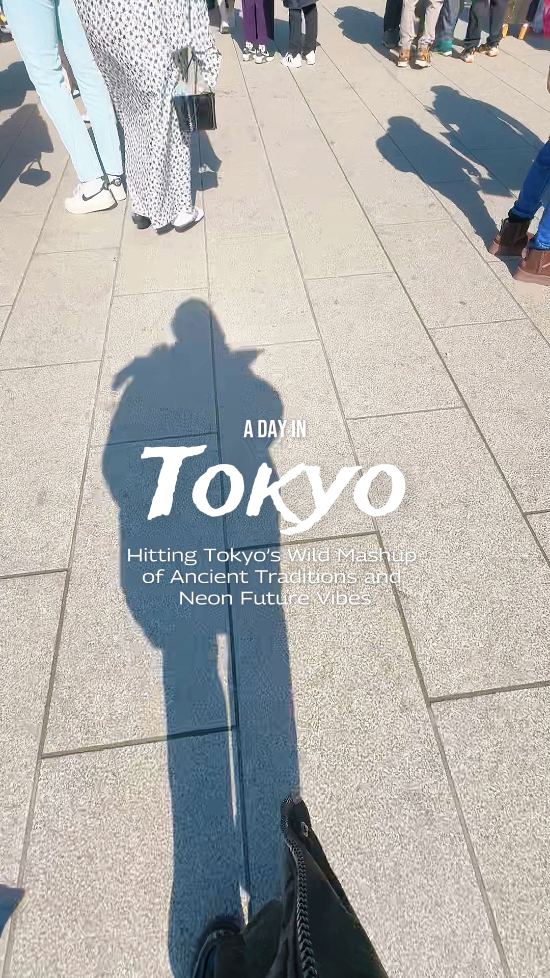 Montagem Hikari Vlog
