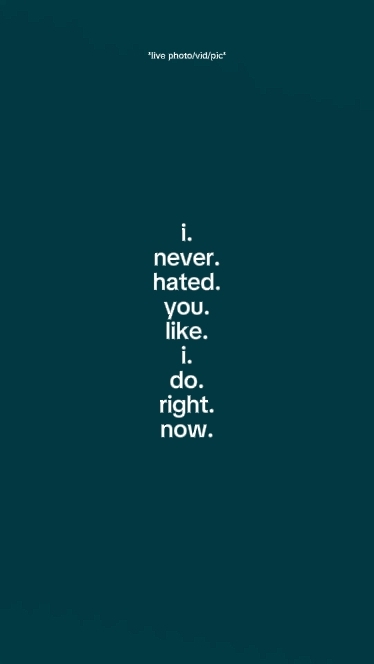 ineverhatedyoulikeid