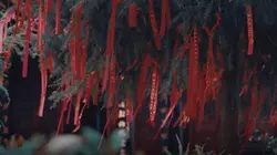 （未取名）