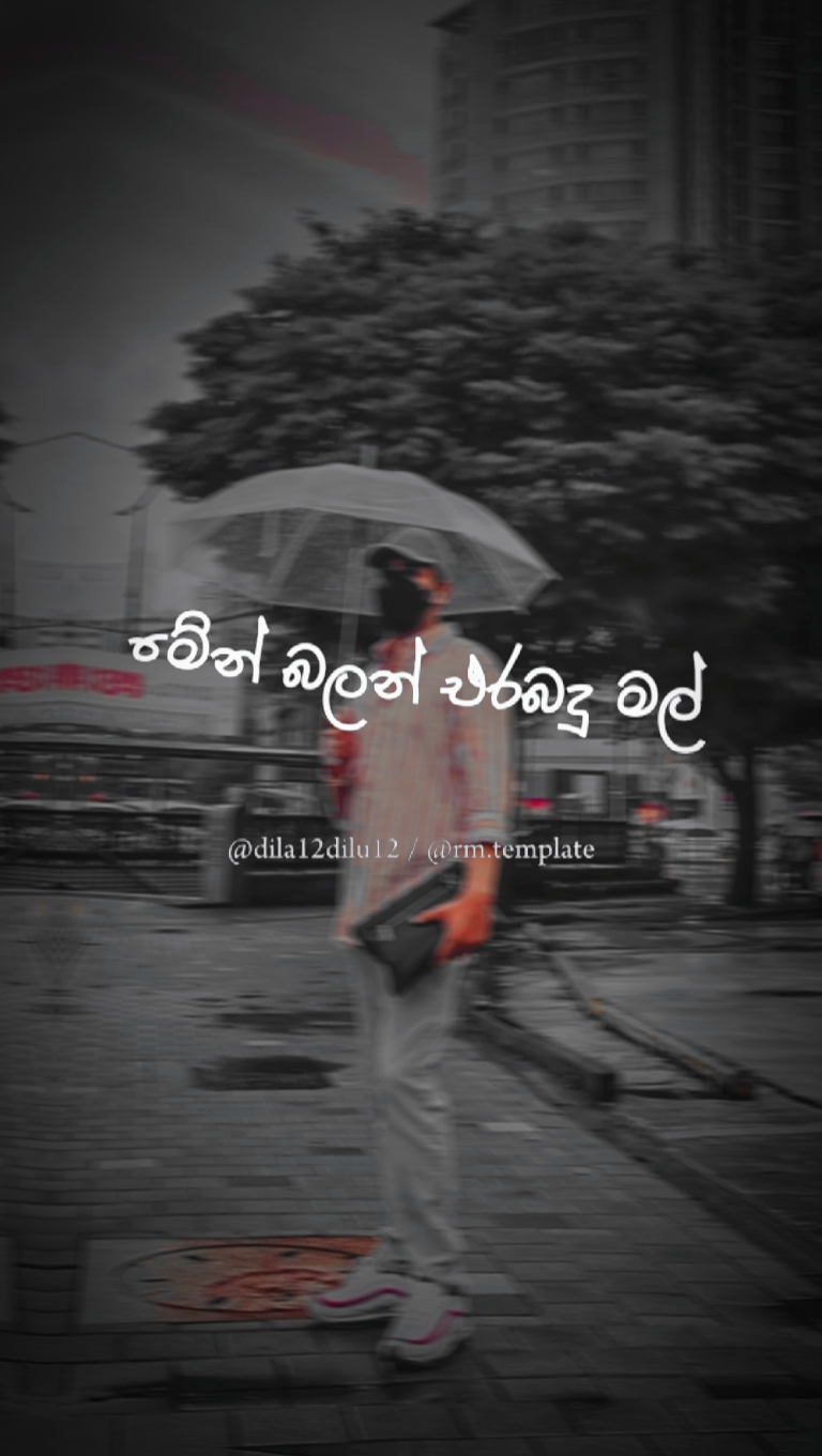 අවුරුදු සිරි song