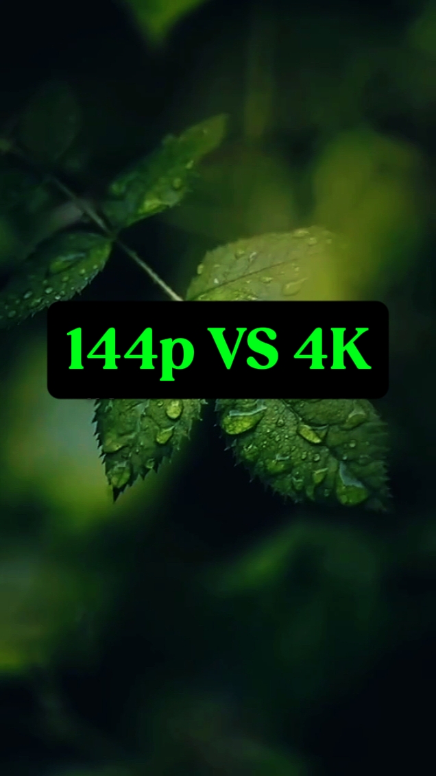 quality 144p vs 4k