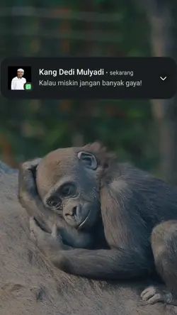 ingat kata kang dedi