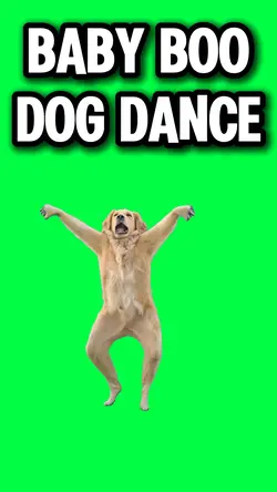 BABY BOO DOG DANCE