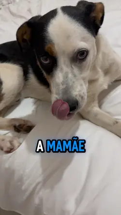 Obedece a mamãe