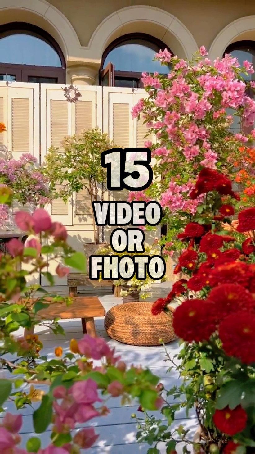 Flor no jardim