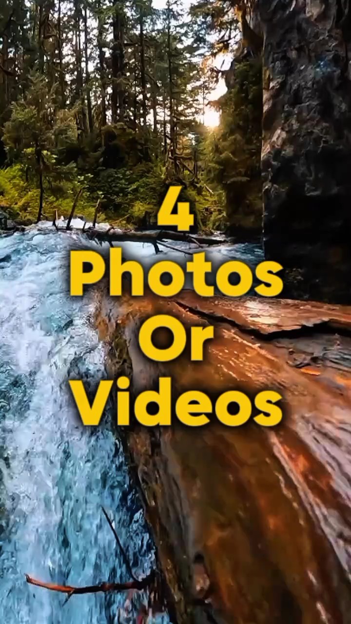 4 vidéo ou photo 