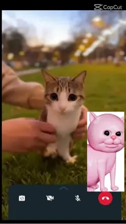 i wish meow was real