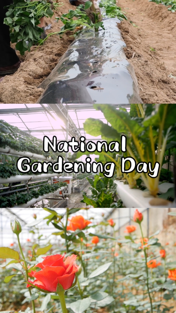 Gardening Day