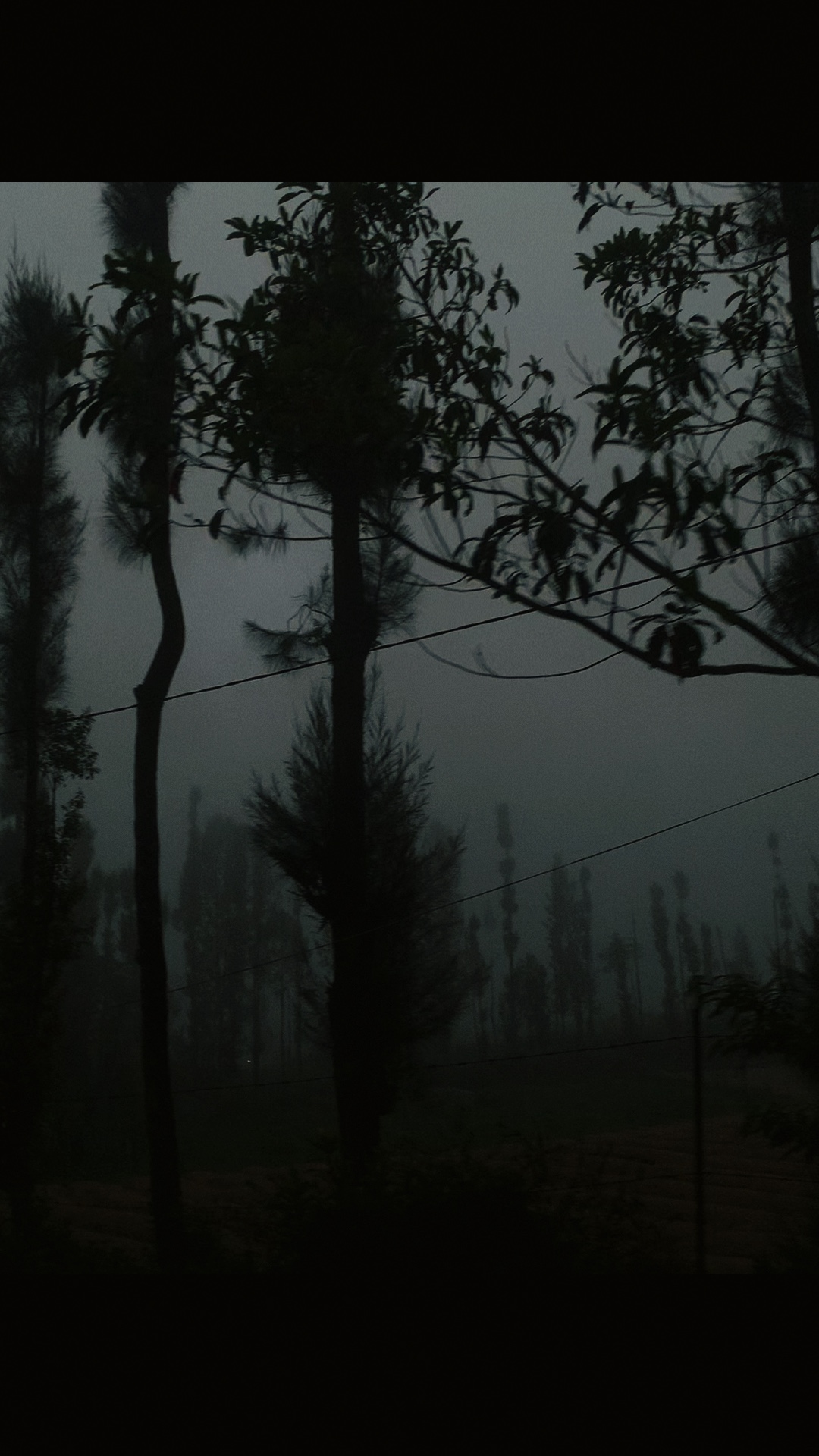 Vibraciones oscuras con niebla