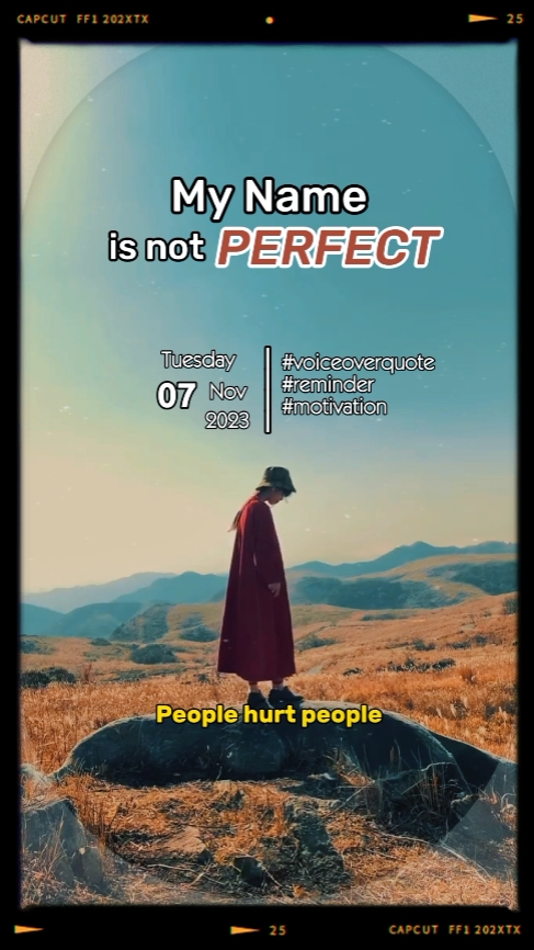 13. Vlog VO Quote 