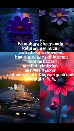 şeker tadında 