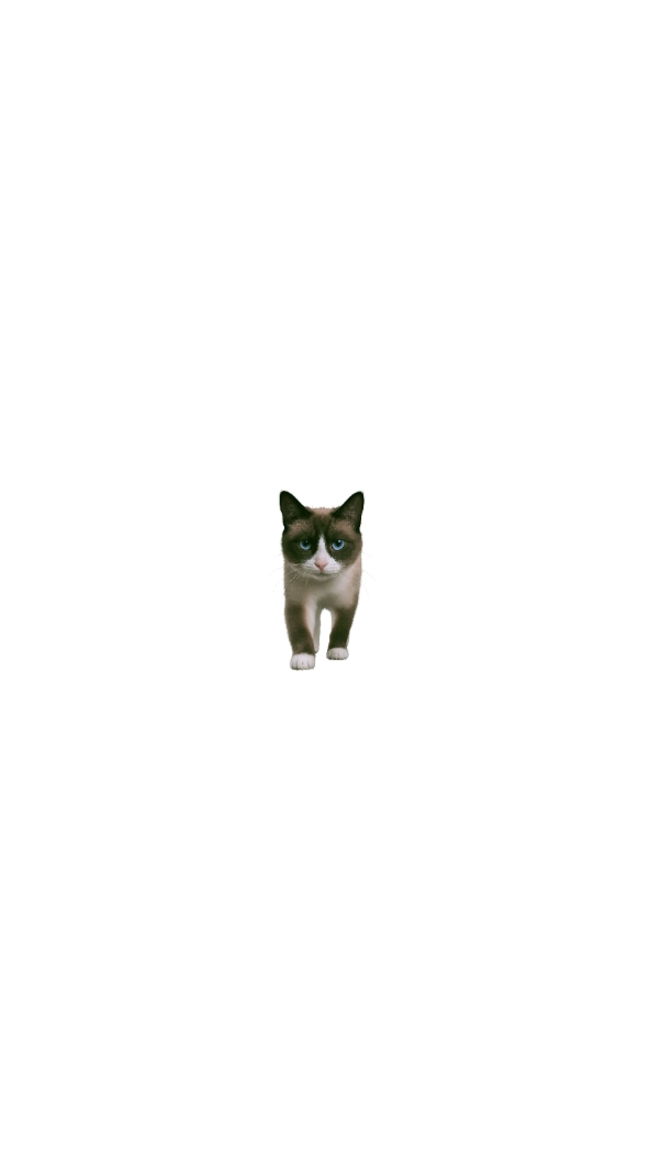 peleh