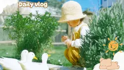 Daily vlog