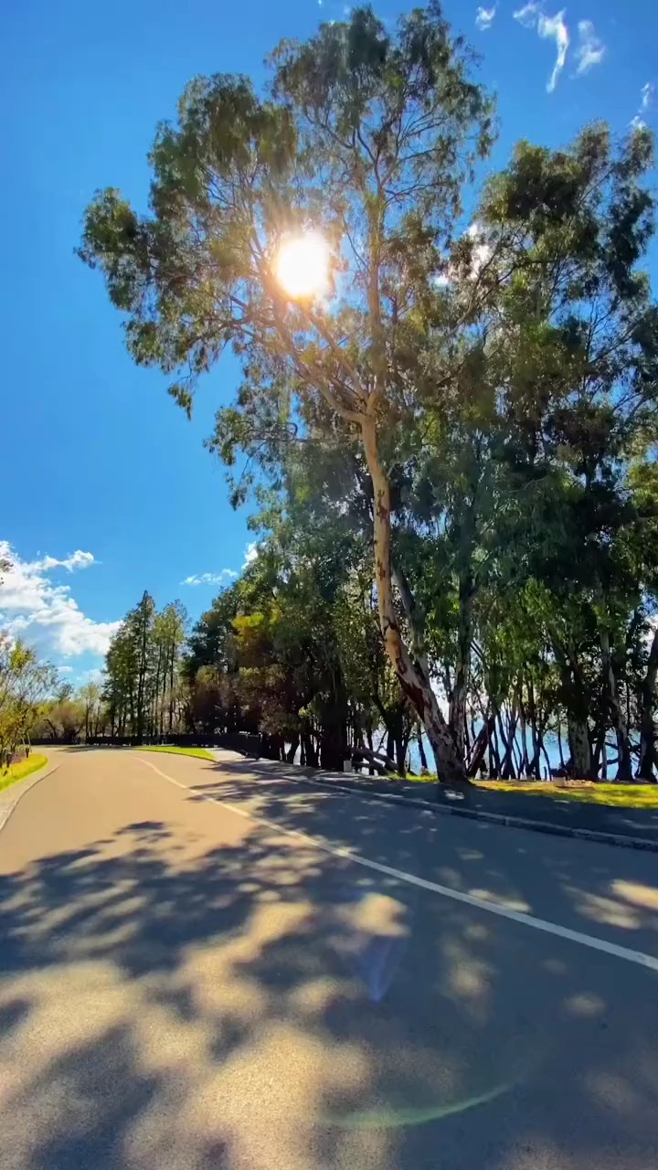 Sanando 2