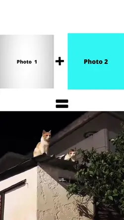 Trending good Edit