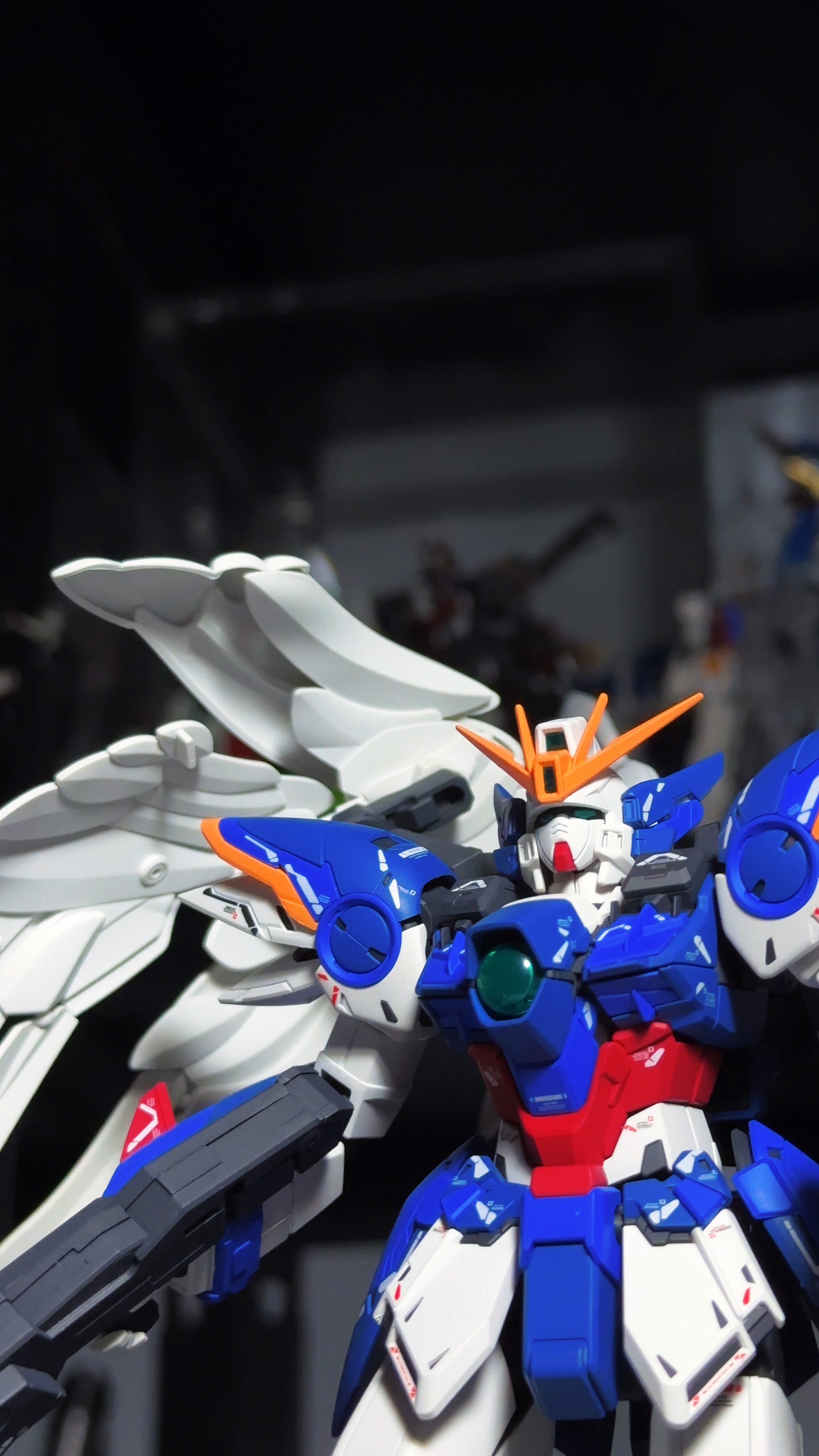 Cover Picture