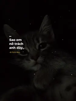 Mẫu 1 Ảnh Lyrics