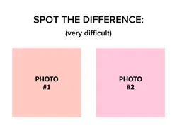 spot the difference