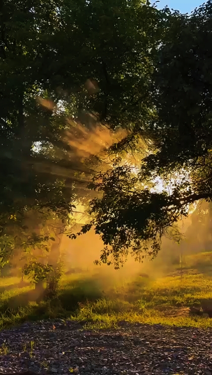 Moments du lever du soleil 