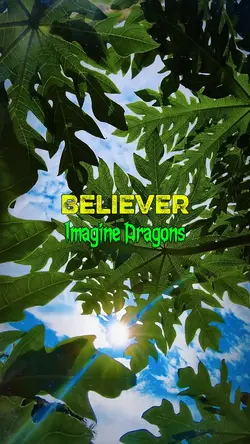 Believer
