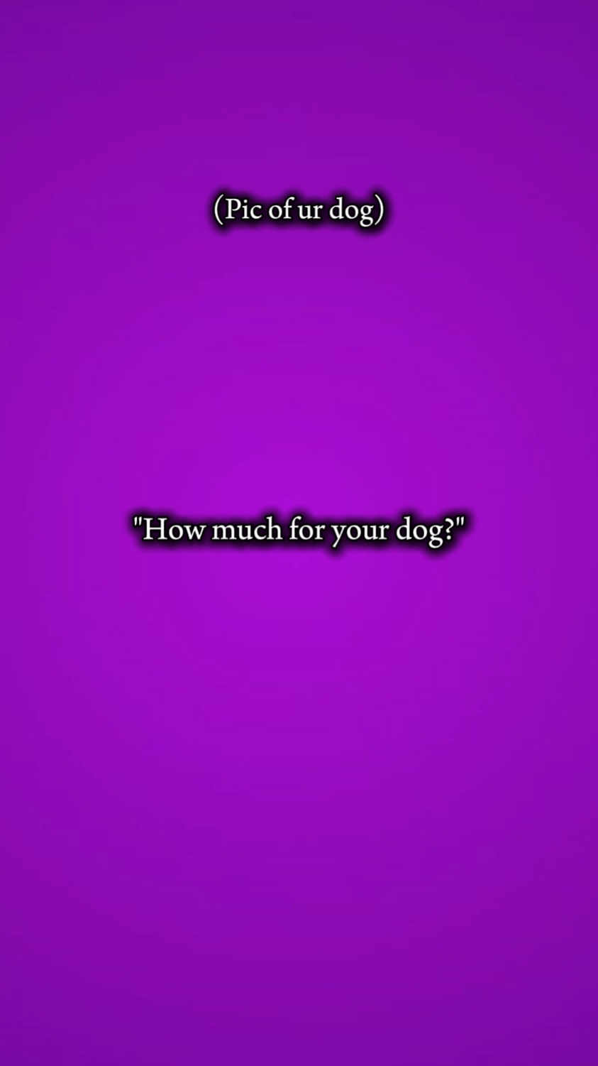dog