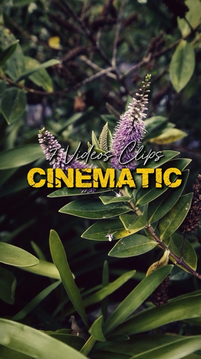 Cinematic 7 Videos 