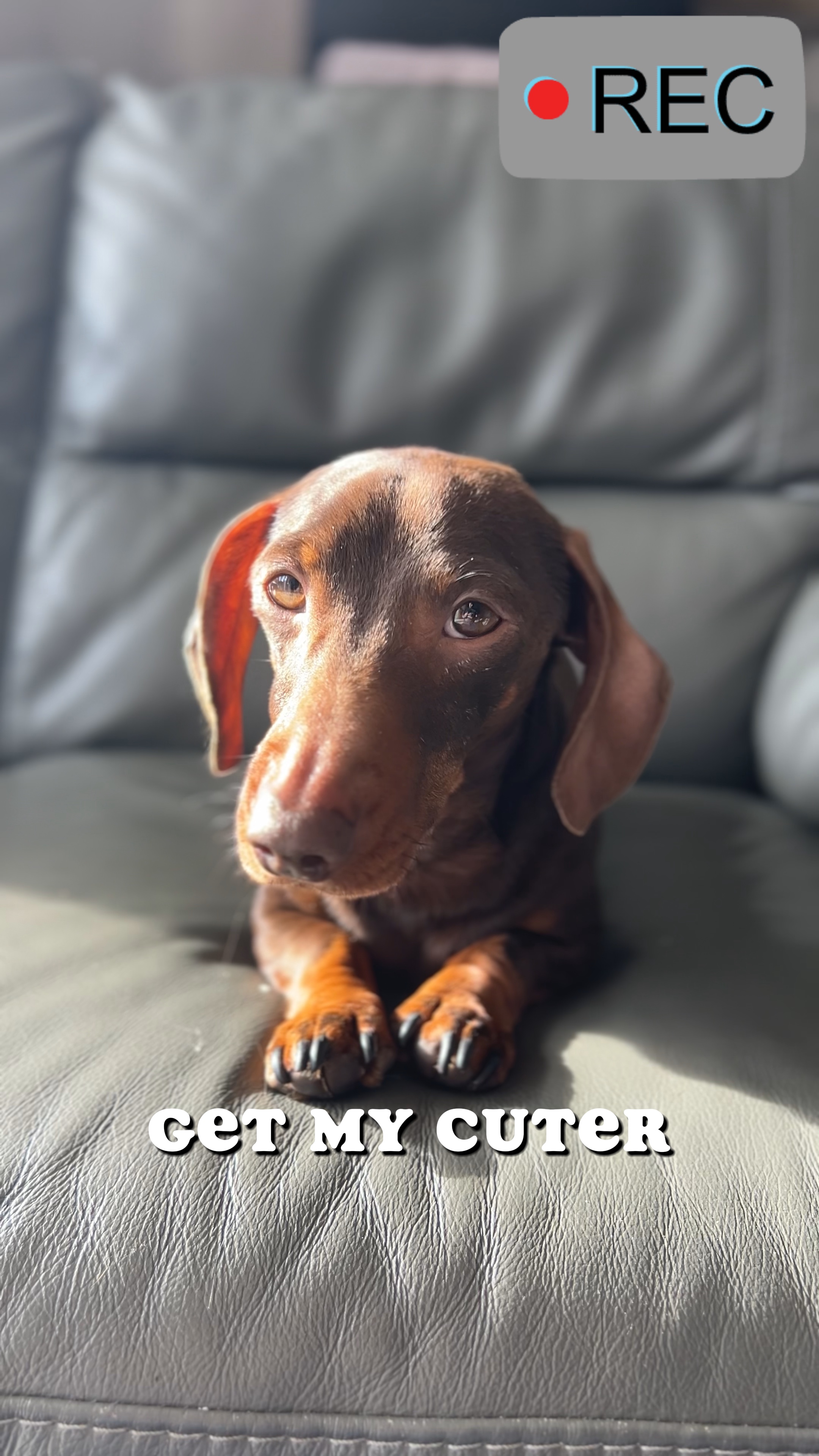 My cutest side 