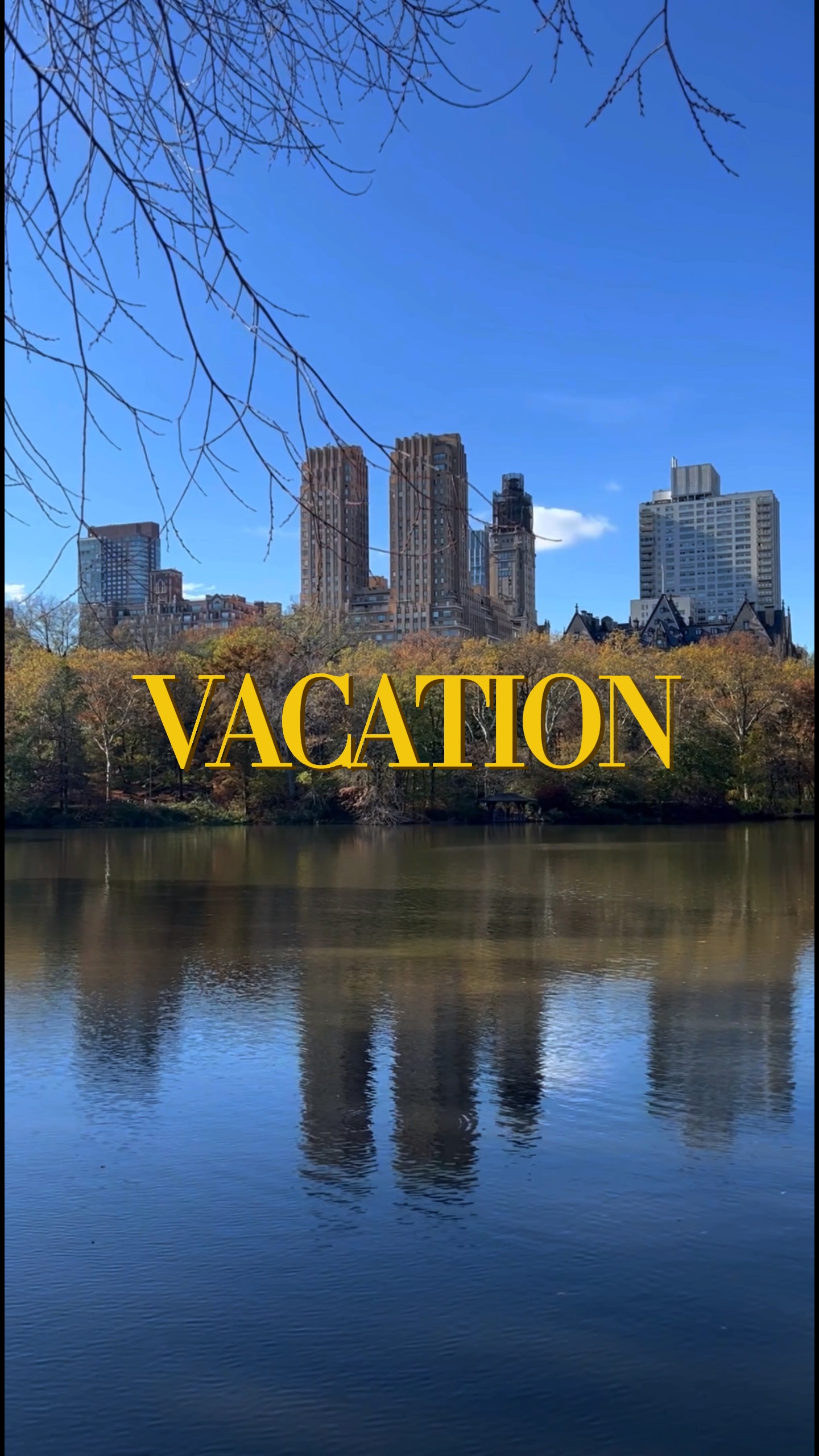 Vacation trend