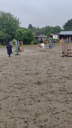 rainy