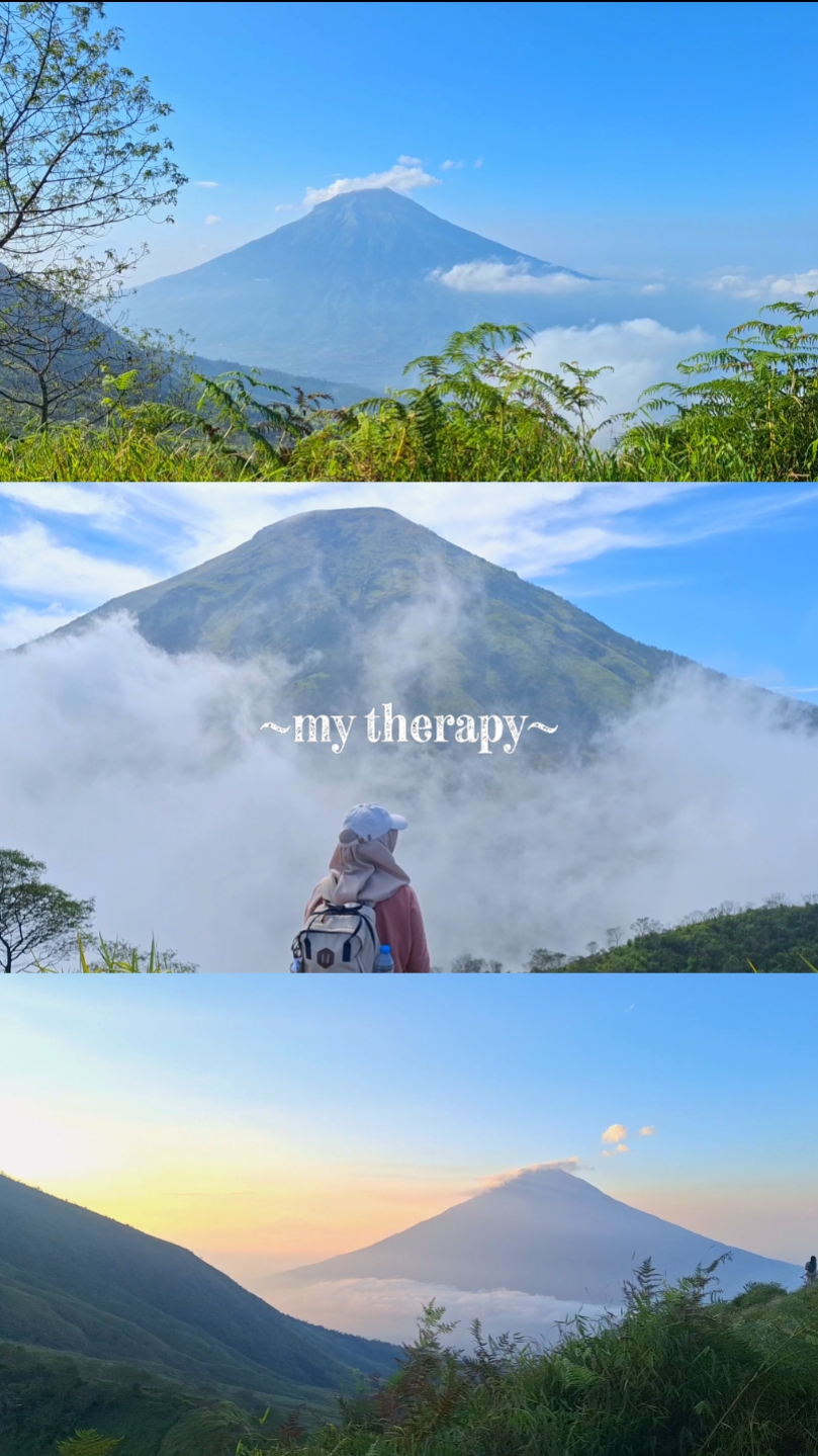 Montagem de terapia