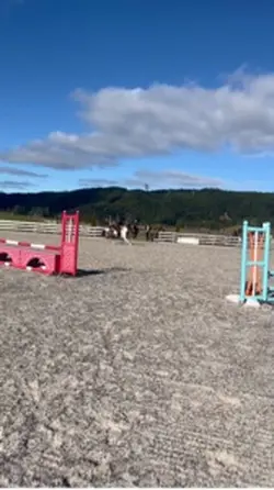 Flying 80cm 🪽